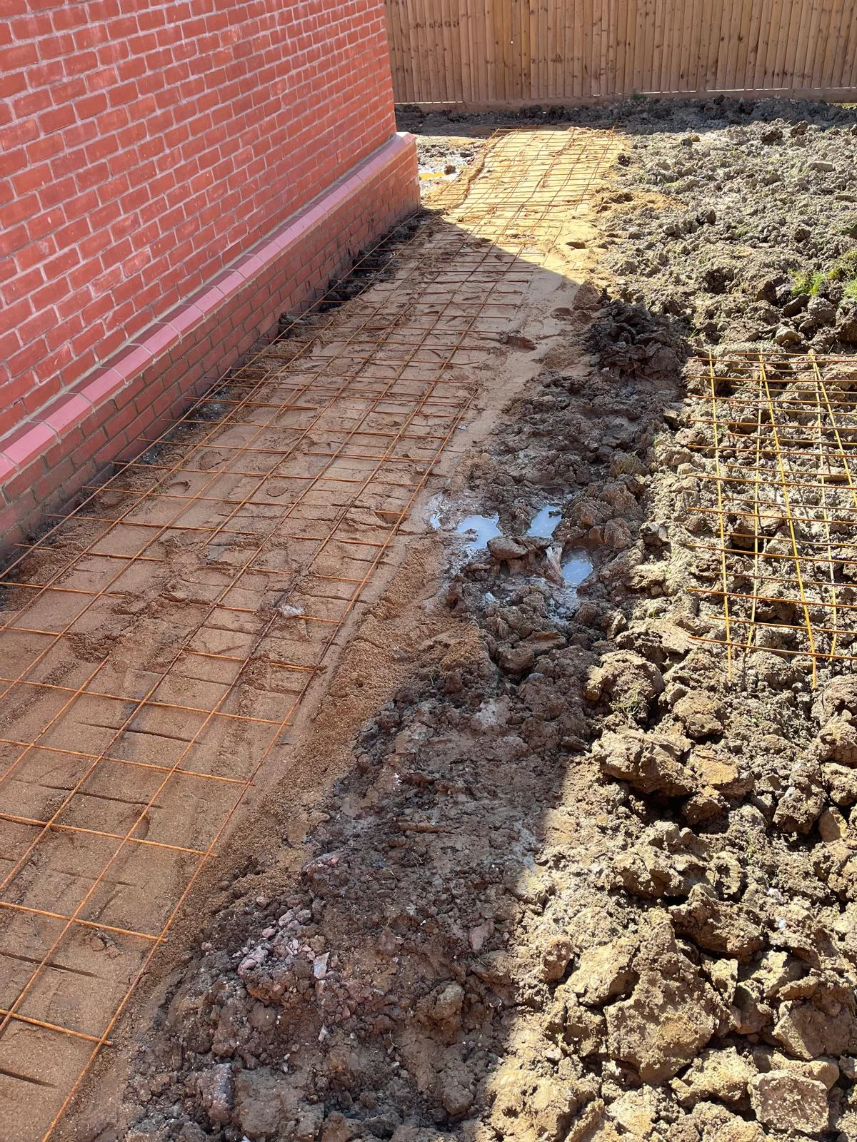 Before: garden